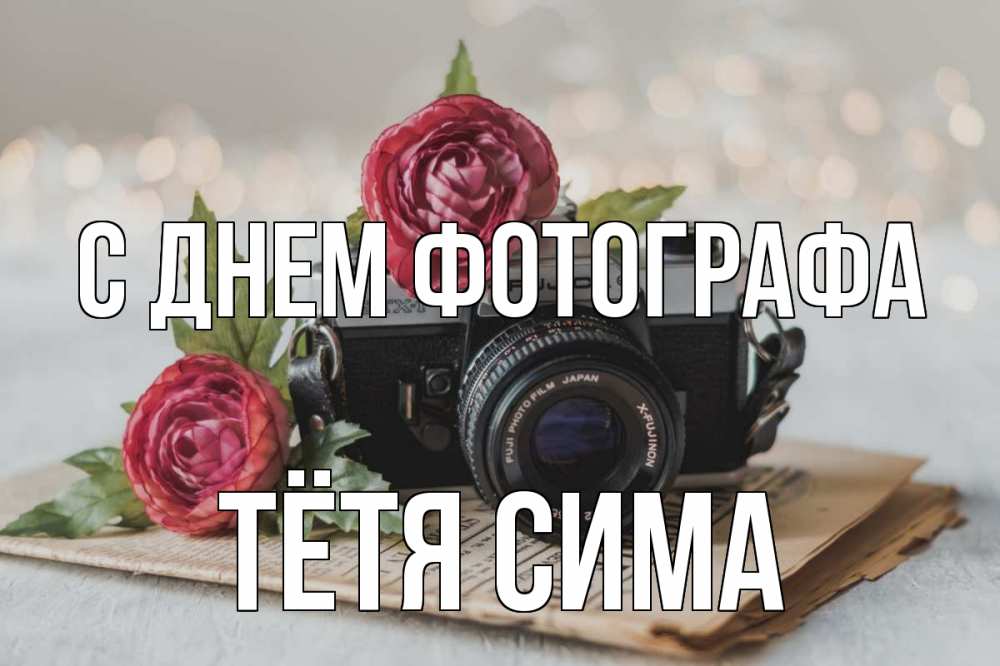 Открытка на каждый день с именем, Тётя-Сима С днем фотографа с днем фотографа Прикольная открытка с пожеланием онлайн скачать бесплатно 