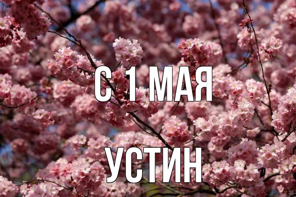 Открытка на каждый день с именем, Устин С 1 мая С 1 мая Прикольная открытка с пожеланием онлайн скачать бесплатно 