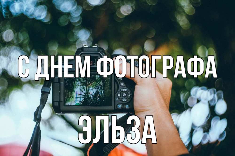 Открытка на каждый день с именем, Эльза С днем фотографа с днем фотографа Прикольная открытка с пожеланием онлайн скачать бесплатно 