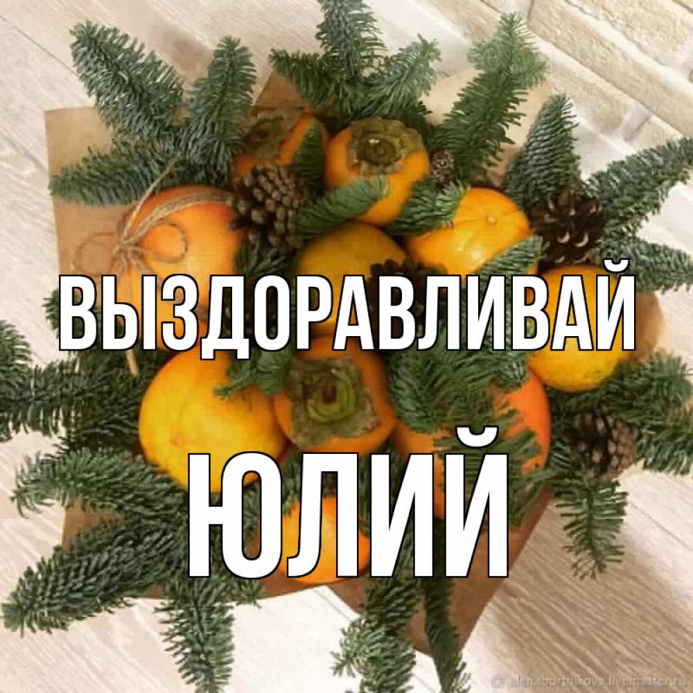 Открытка на каждый день с именем, Юлий Выздоравливай апельсины и хурьма Прикольная открытка с пожеланием онлайн скачать бесплатно 