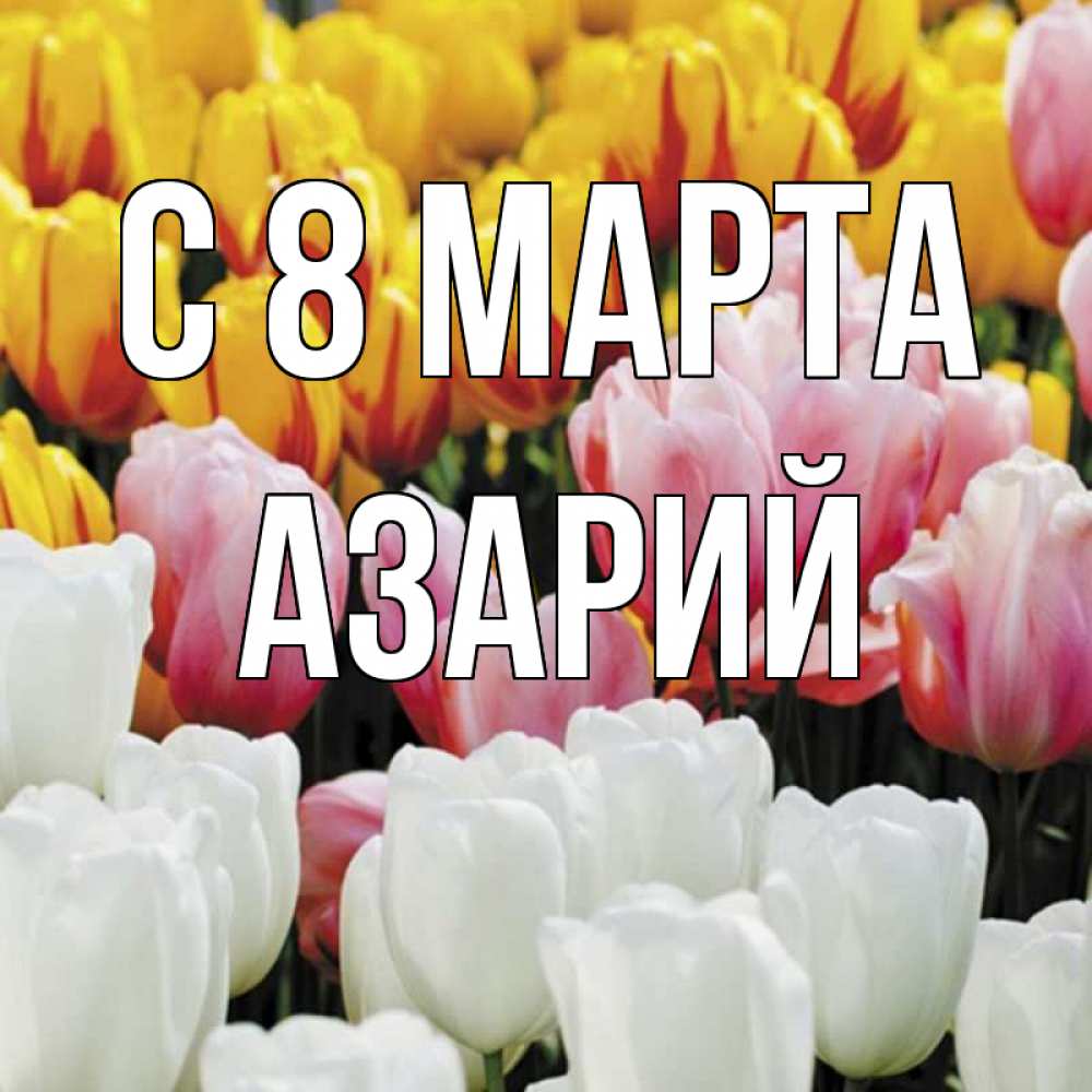 Открытка на каждый день с именем, Азарий С 8 МАРТА разноцветные цветы Прикольная открытка с пожеланием онлайн скачать бесплатно 