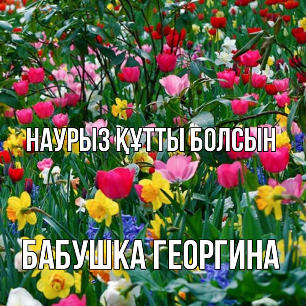 Открытка на каждый день с именем, Бабушка-Георгина Наурыз құтты болсын с наурызом поздравления для женщины Прикольная открытка с пожеланием онлайн скачать бесплатно 