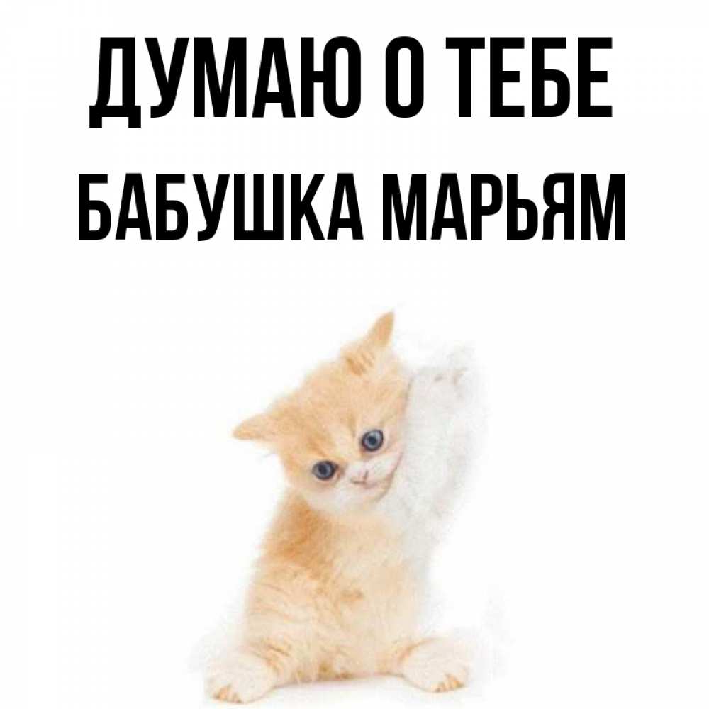 Открытка на каждый день с именем, Бабушка-Марьям Думаю о тебе зверушки и милота Прикольная открытка с пожеланием онлайн скачать бесплатно 