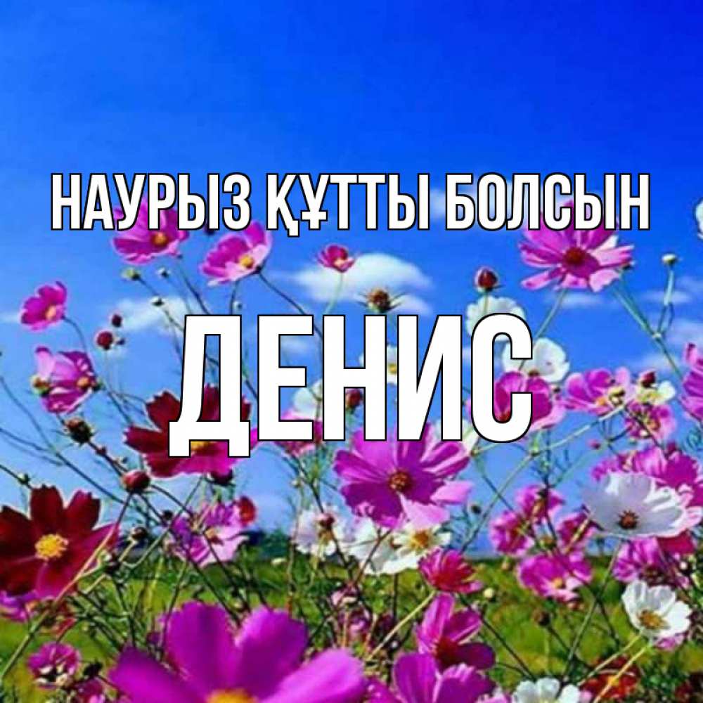 Открытка на каждый день с именем, Денис Наурыз құтты болсын цветы Прикольная открытка с пожеланием онлайн скачать бесплатно 
