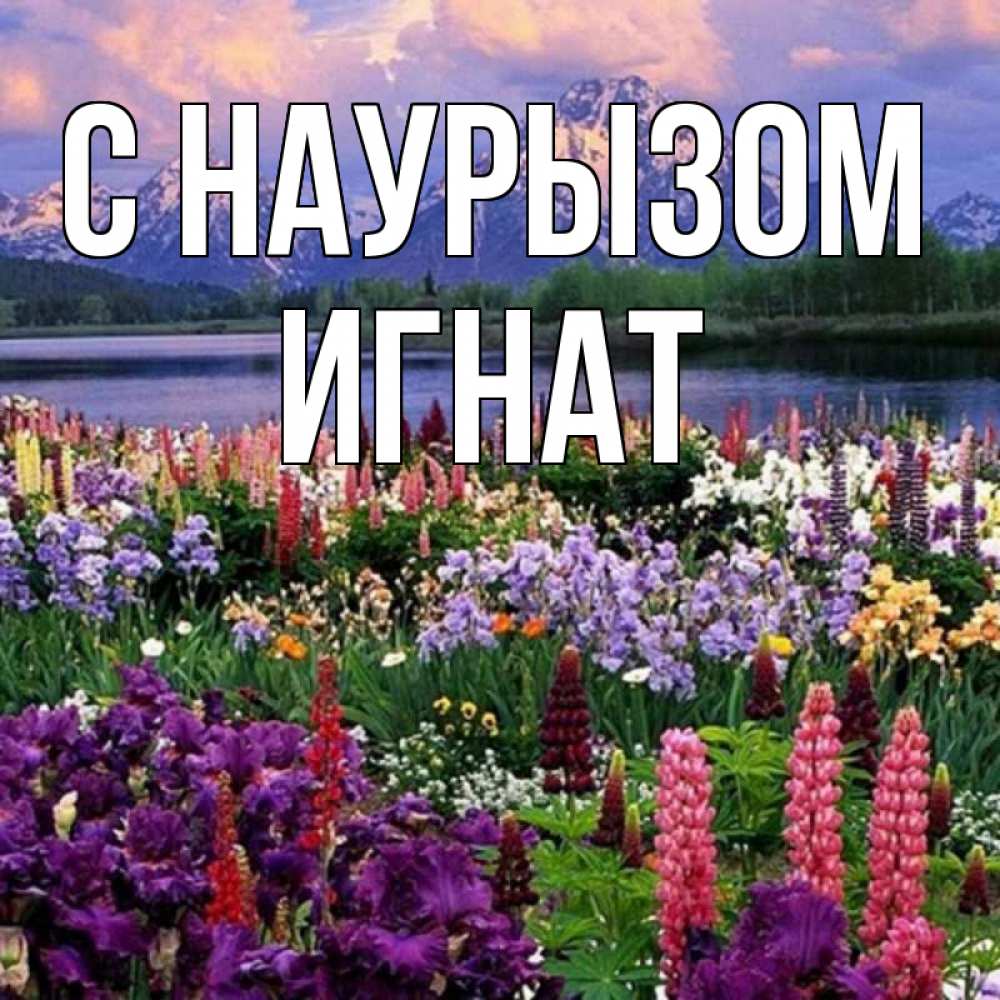 Открытка на каждый день с именем, Игнат С наурызом праздник весны наурыз Прикольная открытка с пожеланием онлайн скачать бесплатно 