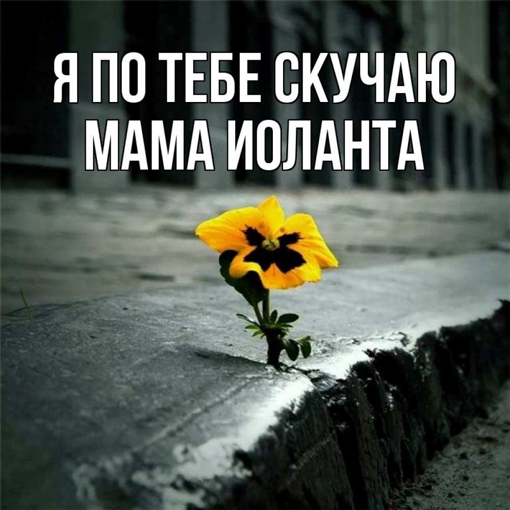 Открытка на каждый день с именем, Мама-Иоланта Я по тебе скучаю надеюсь будет лучше Прикольная открытка с пожеланием онлайн скачать бесплатно 