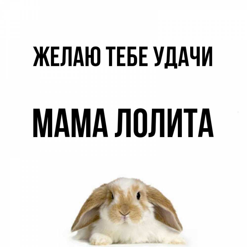 Открытка на каждый день с именем, Мама-Лолита Желаю тебе удачи открытки с произвольным текстом который можно вставить в открытку и создать ее самостоятельно бесплатно онлайн Прикольная открытка с пожеланием онлайн скачать бесплатно 