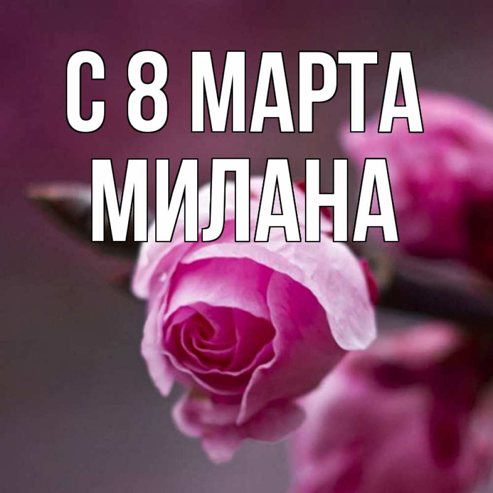 Открытка на каждый день с именем, Милана С 8 МАРТА весна Прикольная открытка с пожеланием онлайн скачать бесплатно 