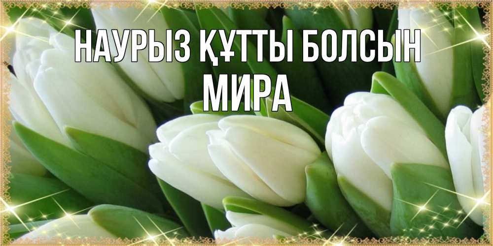 Открытка на каждый день с именем, Мира Наурыз құтты болсын поздравляем с наурызом Прикольная открытка с пожеланием онлайн скачать бесплатно 