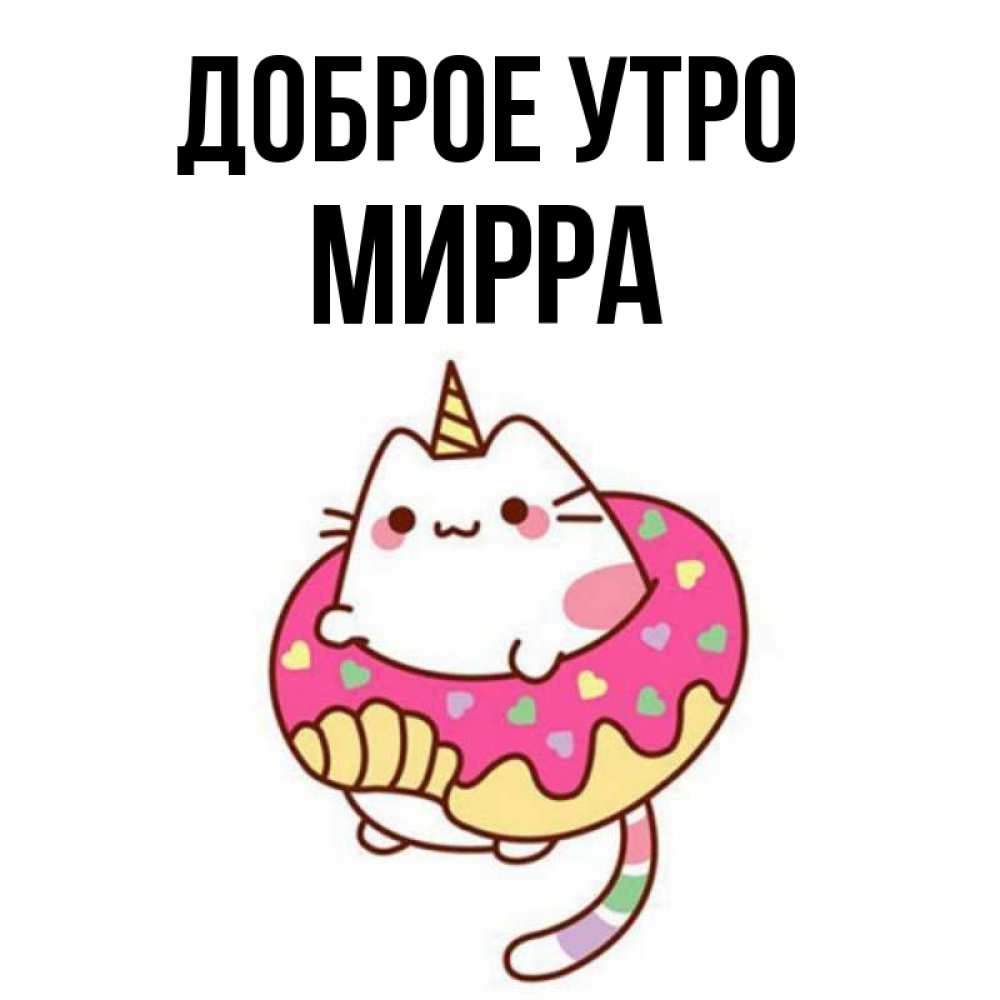 Открытка на каждый день с именем, Мирра Доброе утро кот в бублике Прикольная открытка с пожеланием онлайн скачать бесплатно 