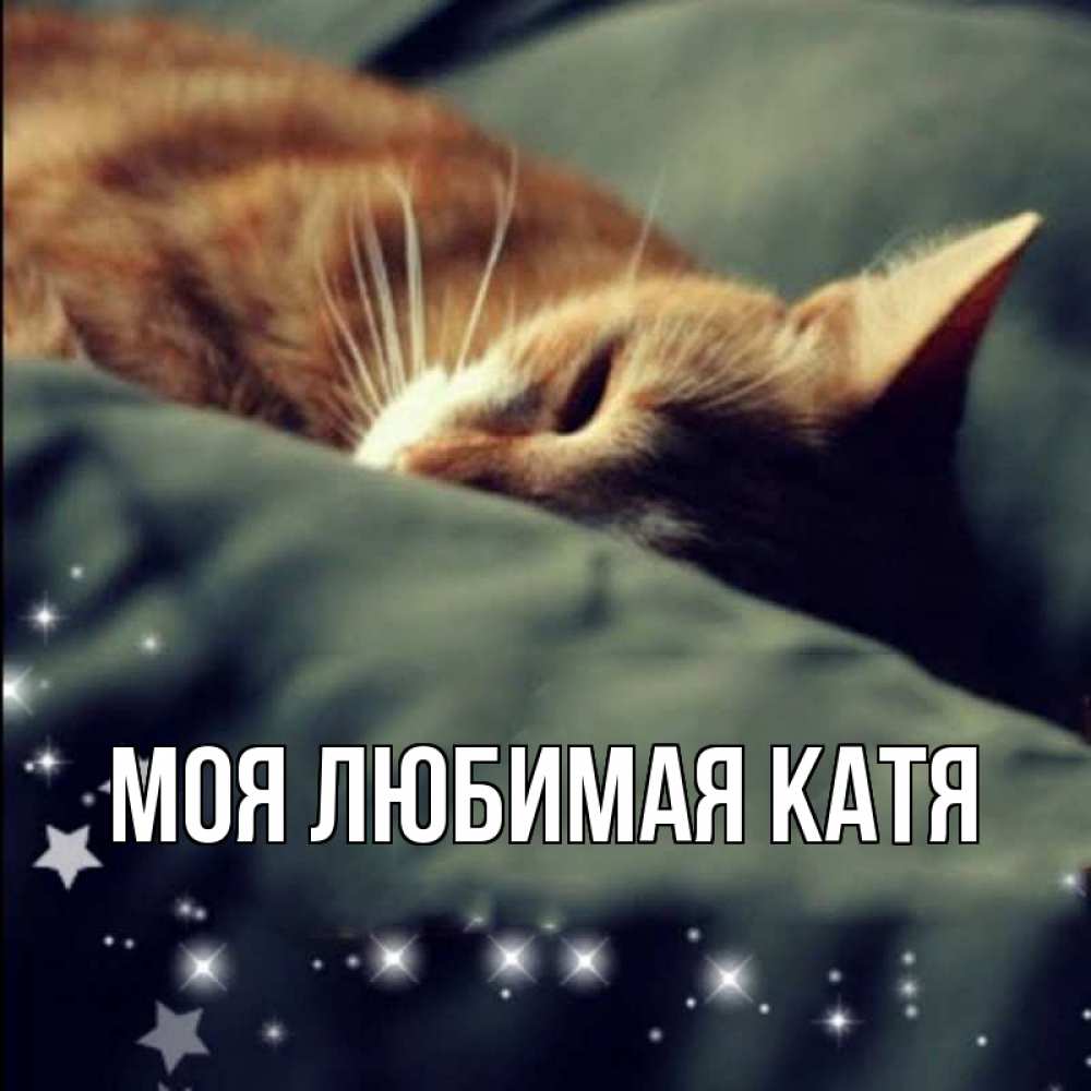 Открытка на каждый день с именем, Моя-любимая-Катя Главная кроватка Прикольная открытка с пожеланием онлайн скачать бесплатно 