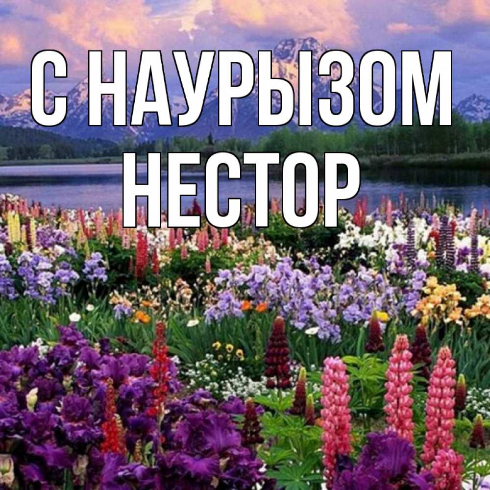 Открытка на каждый день с именем, Нестор С наурызом праздник весны наурыз Прикольная открытка с пожеланием онлайн скачать бесплатно 