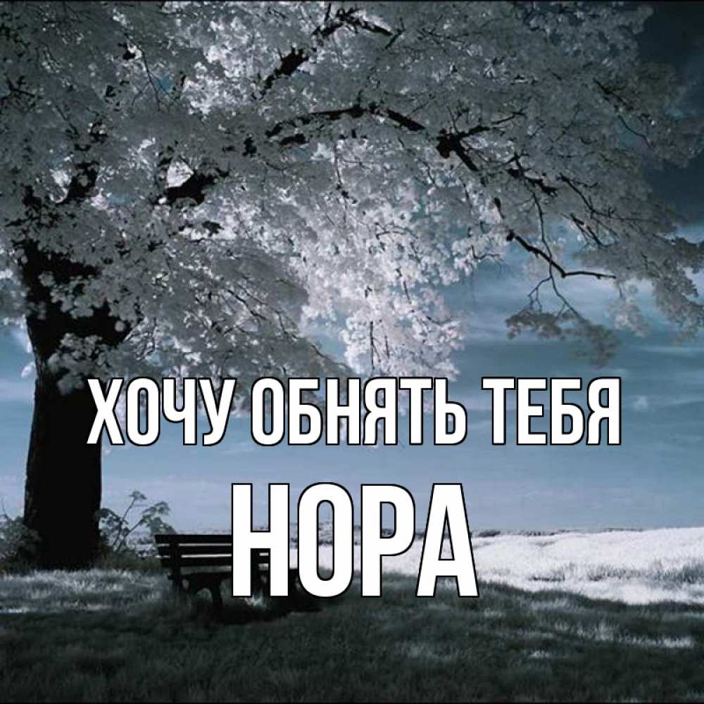 Открытка на каждый день с именем, Нора Хочу обнять тебя дерево Прикольная открытка с пожеланием онлайн скачать бесплатно 