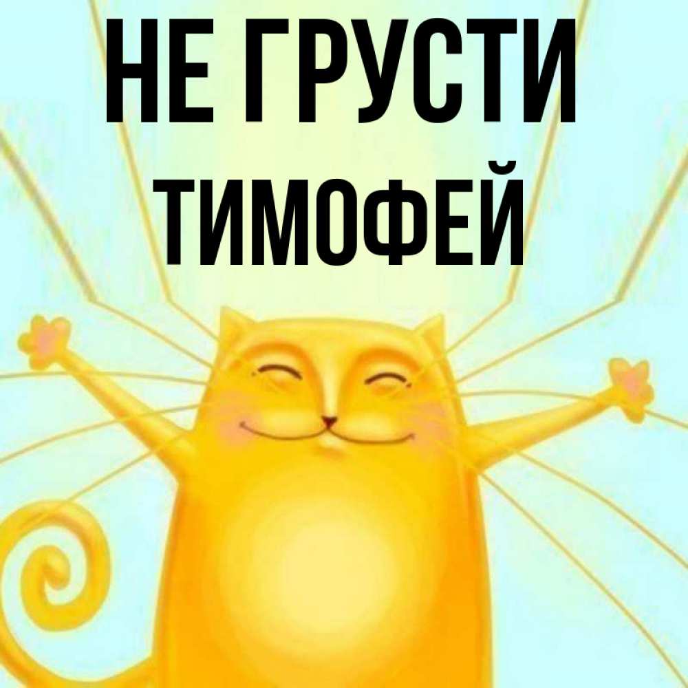 Открытка на каждый день с именем, Тимофей Не грусти обнимашки усатые Прикольная открытка с пожеланием онлайн скачать бесплатно 
