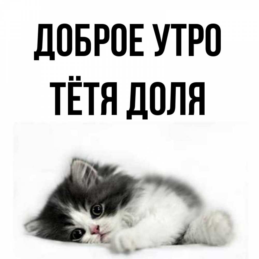 Открытка на каждый день с именем, Тётя-Доля Доброе утро кот лапки Прикольная открытка с пожеланием онлайн скачать бесплатно 