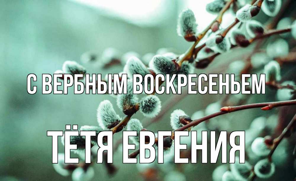 Открытка на каждый день с именем, Тётя-Евгения С вербным воскресеньем верба Прикольная открытка с пожеланием онлайн скачать бесплатно 