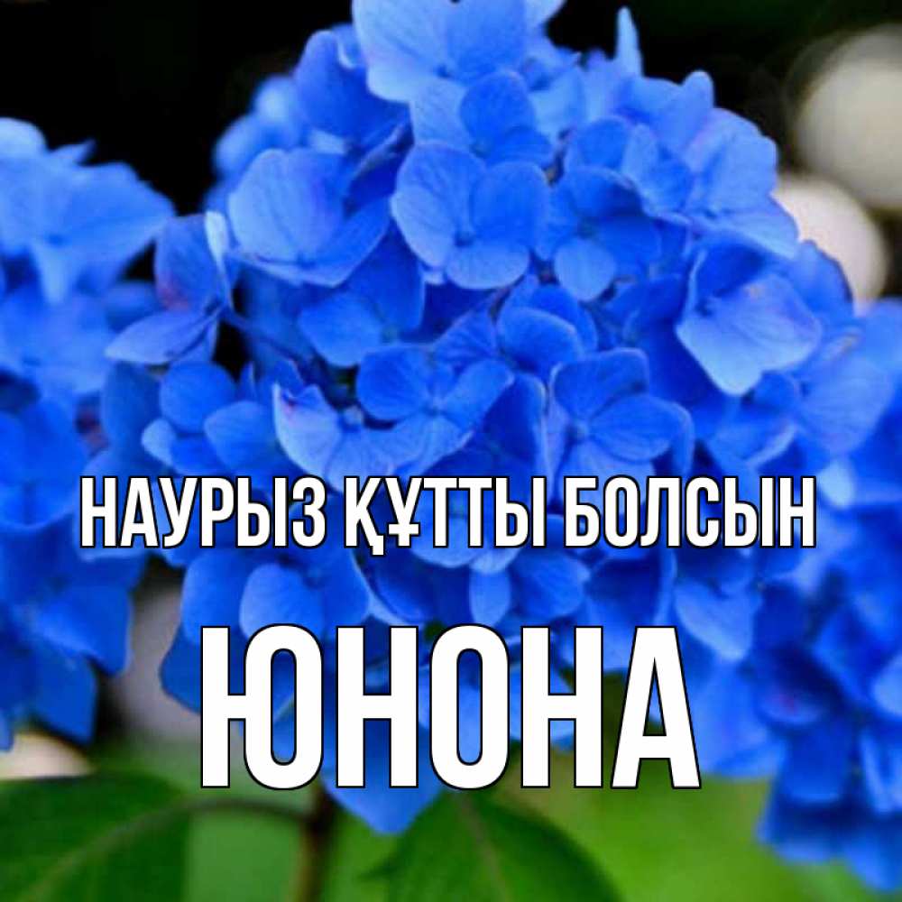 Открытка на каждый день с именем, Юнона Наурыз құтты болсын синие цветы Прикольная открытка с пожеланием онлайн скачать бесплатно 