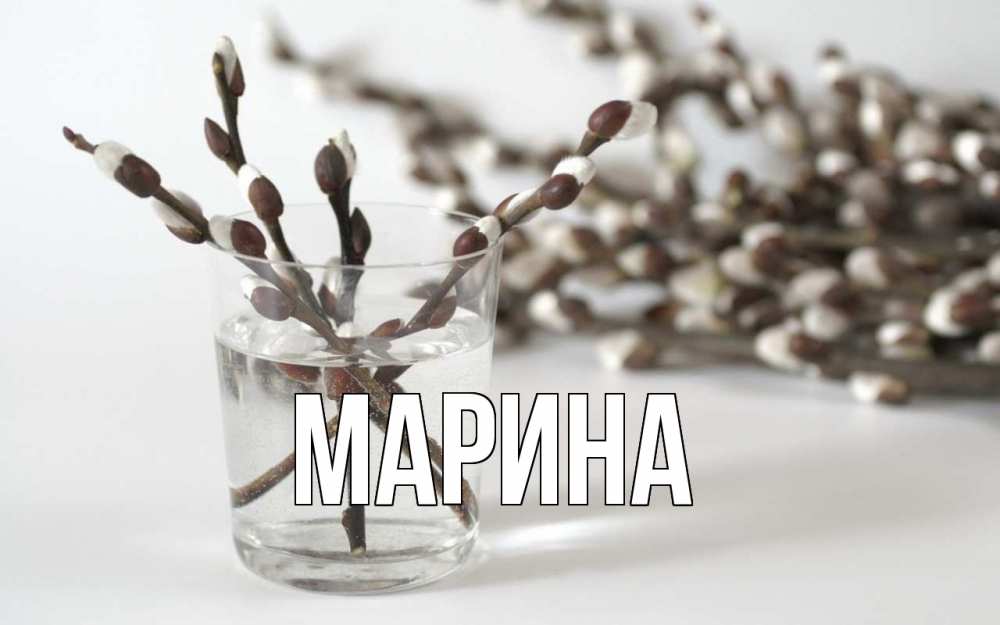Открытка на каждый день с именем, Марина Главная верба Прикольная открытка с пожеланием онлайн скачать бесплатно 