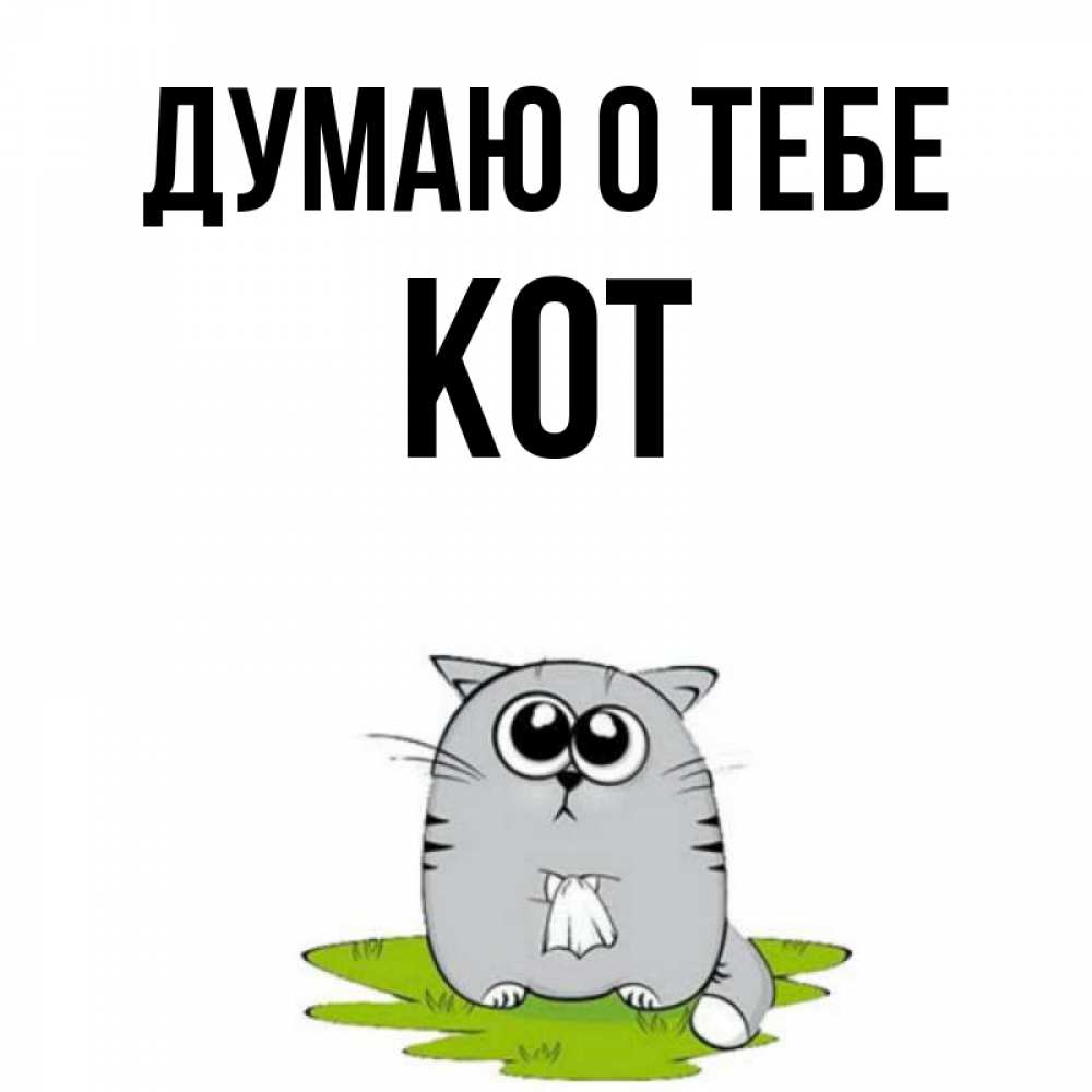 Ти кота