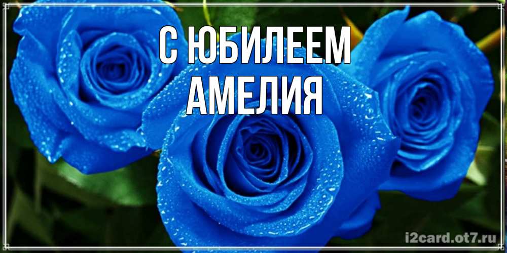 Открытка на каждый день с именем, Амелия С юбилеем розы с синим цветом Прикольная открытка с пожеланием онлайн скачать бесплатно 