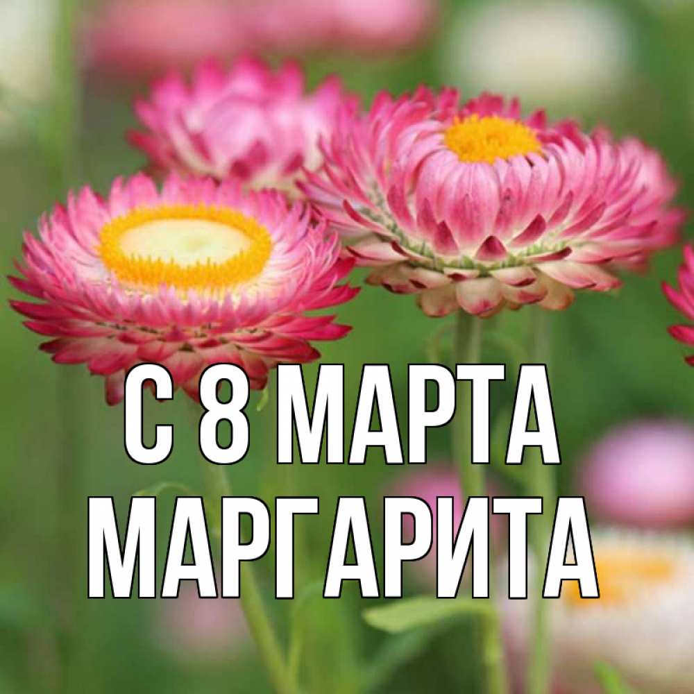 Картинка С 8 МАРТА, Маргарита