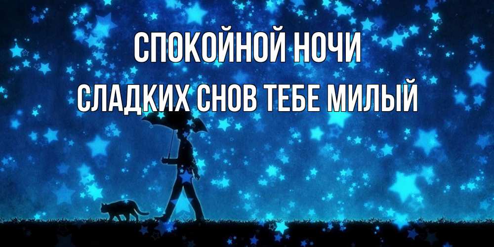 Картинка Спокойной ночи,  сладких снов тебе милый