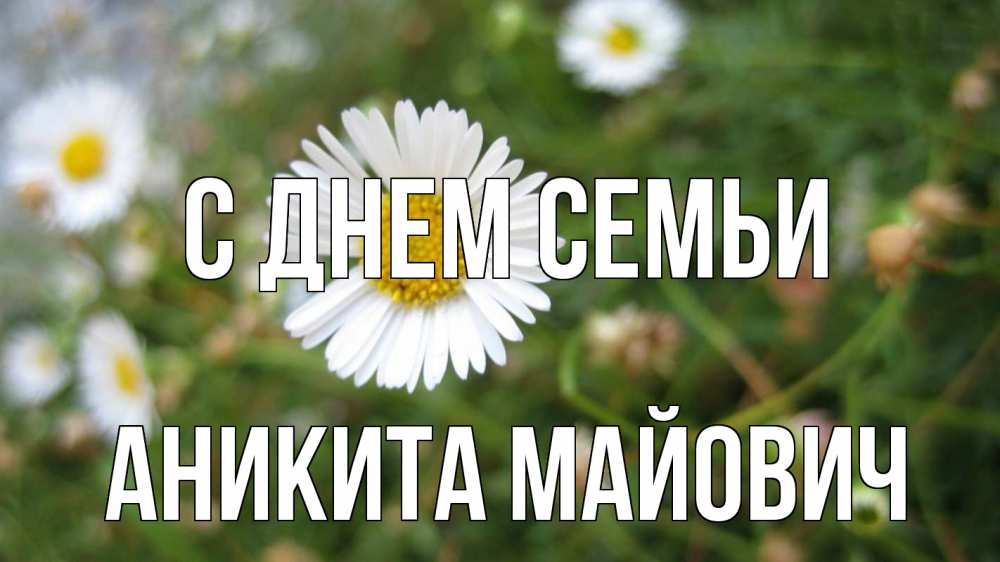 Открытка с именем, Аникита Майович, С днем семьи