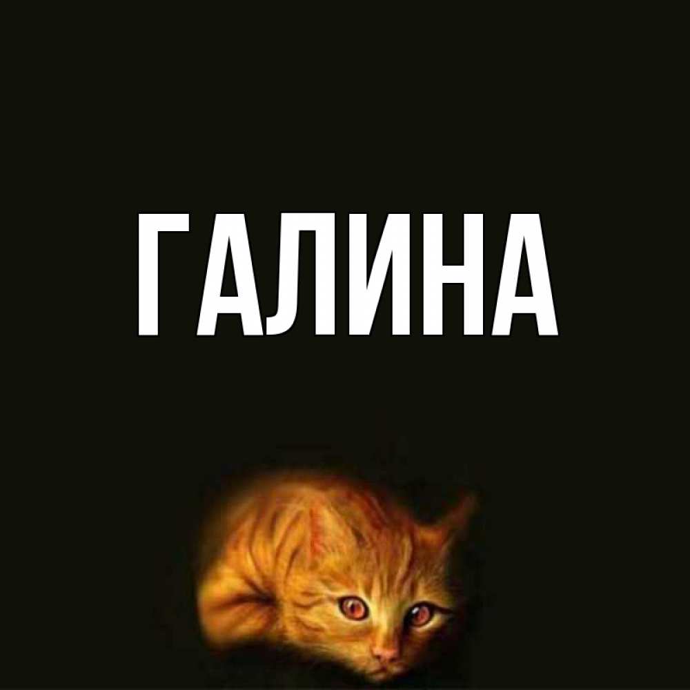 Открытка на каждый день с именем, Галина Главная лежащий кот в темноте Прикольная открытка с пожеланием онлайн скачать бесплатно 