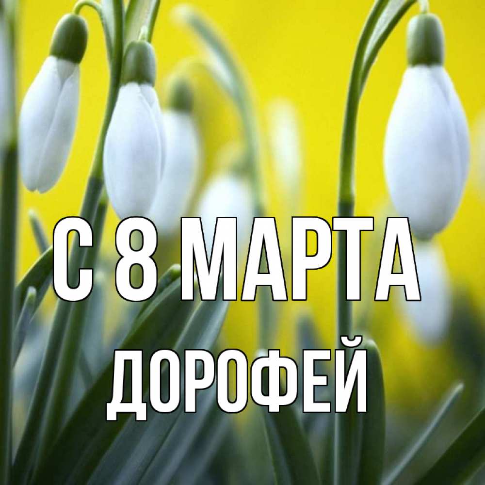 Открытка на каждый день с именем, Дорофей С 8 марта весенние цветы Прикольная открытка с пожеланием онлайн скачать бесплатно 