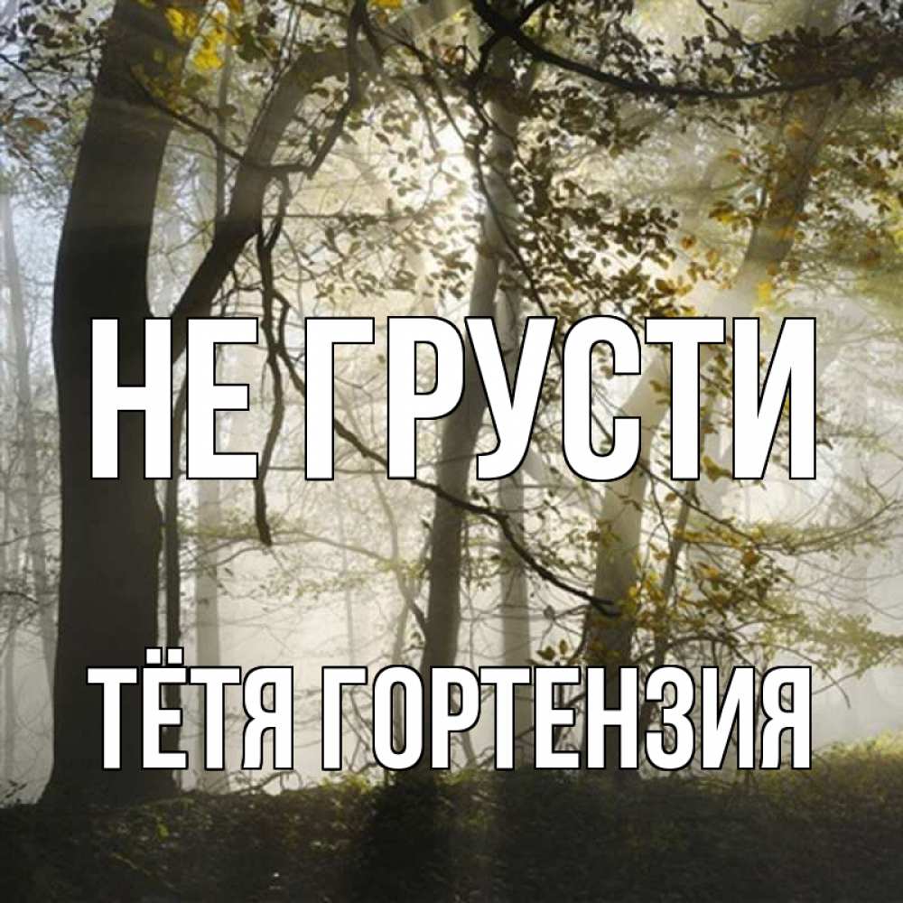 Открытка на каждый день с именем, Тётя-Гортензия Не грусти лес и свет Прикольная открытка с пожеланием онлайн скачать бесплатно 