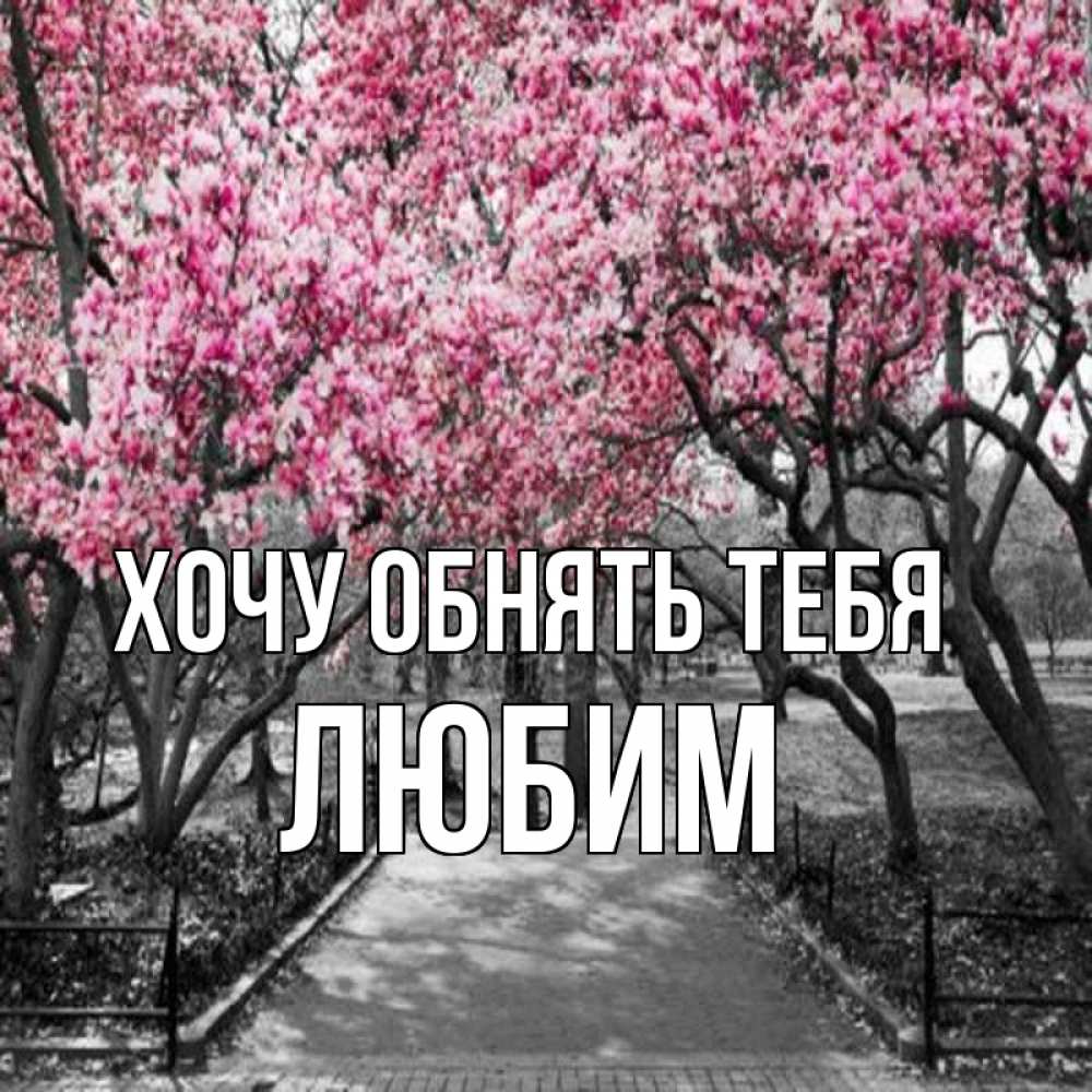 Открытка на каждый день с именем, Любим Хочу обнять тебя обработанное фото Прикольная открытка с пожеланием онлайн скачать бесплатно 