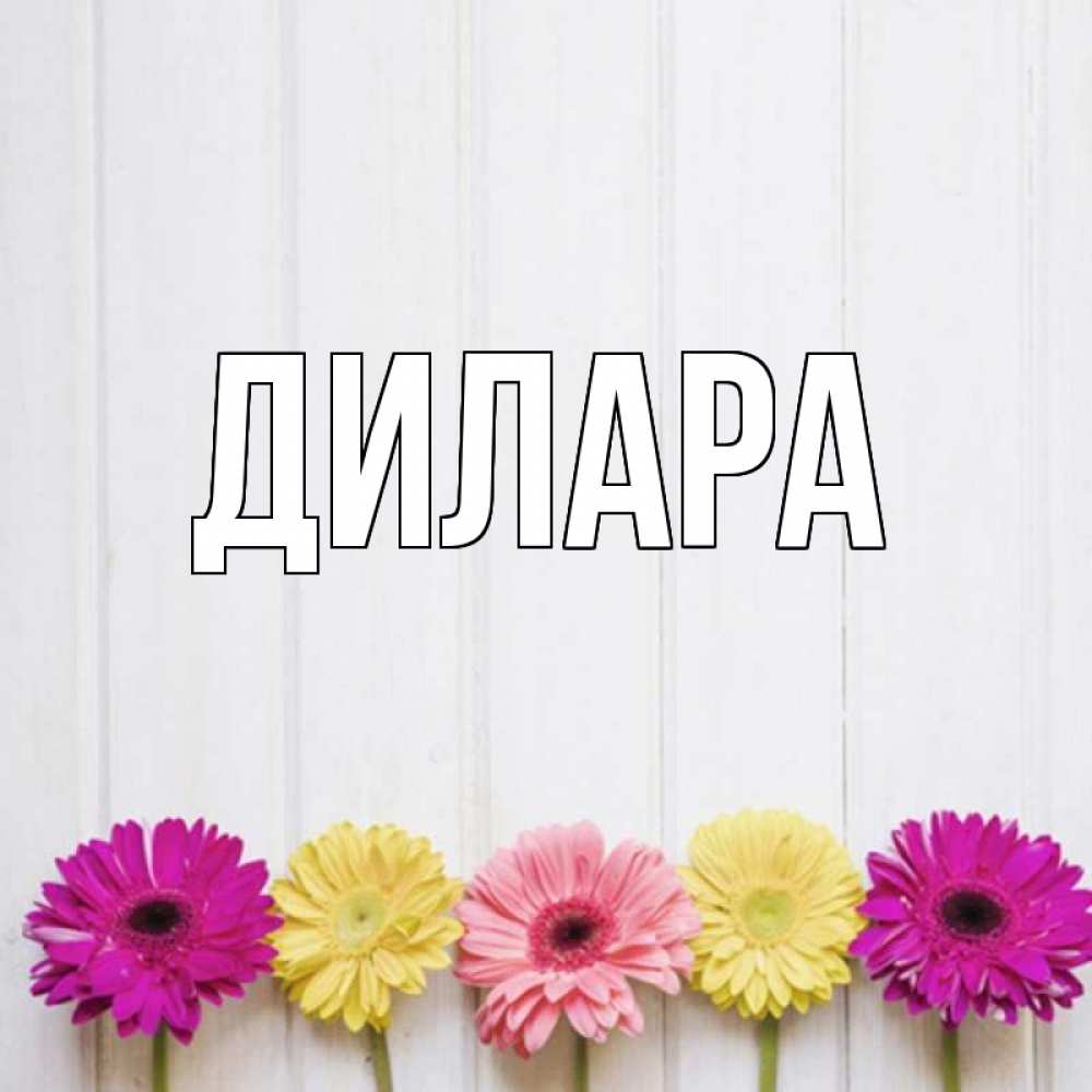 Открытка на каждый день с именем, Дилара Главная женщинам 1 Прикольная открытка с пожеланием онлайн скачать бесплатно 