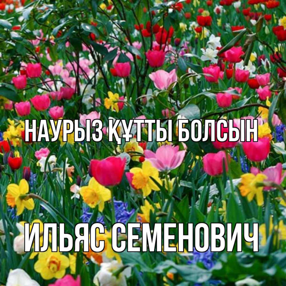Картинка Наурыз құтты болсын, Ильяс Семенович
