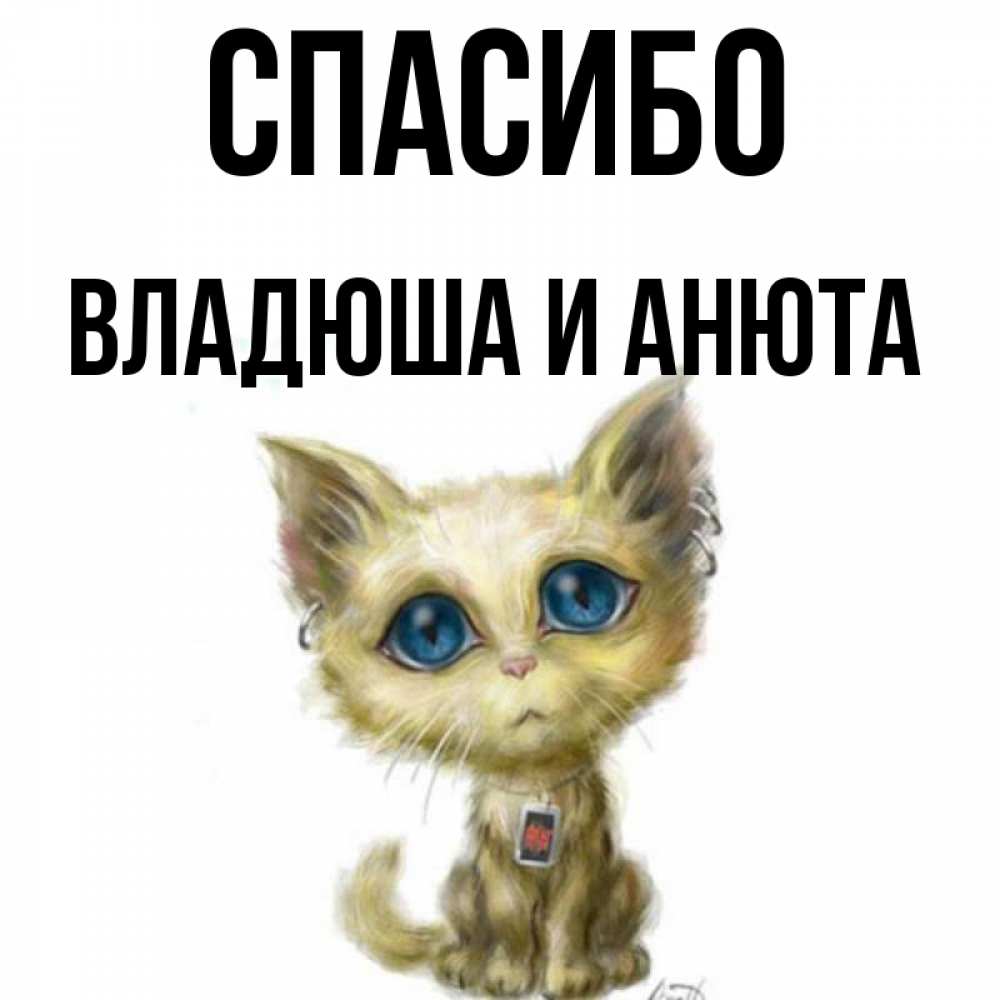 Привет анечка картинки прикольные