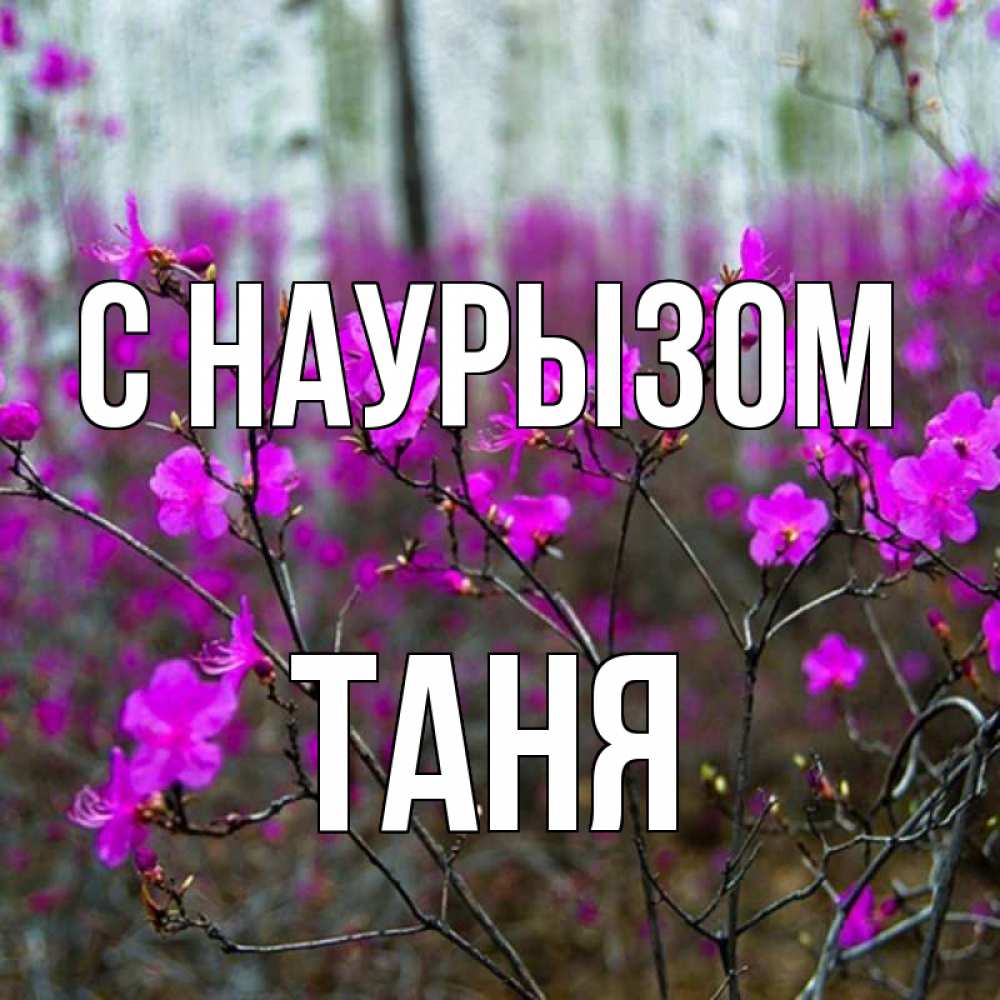 Картинка С наурызом, Таня