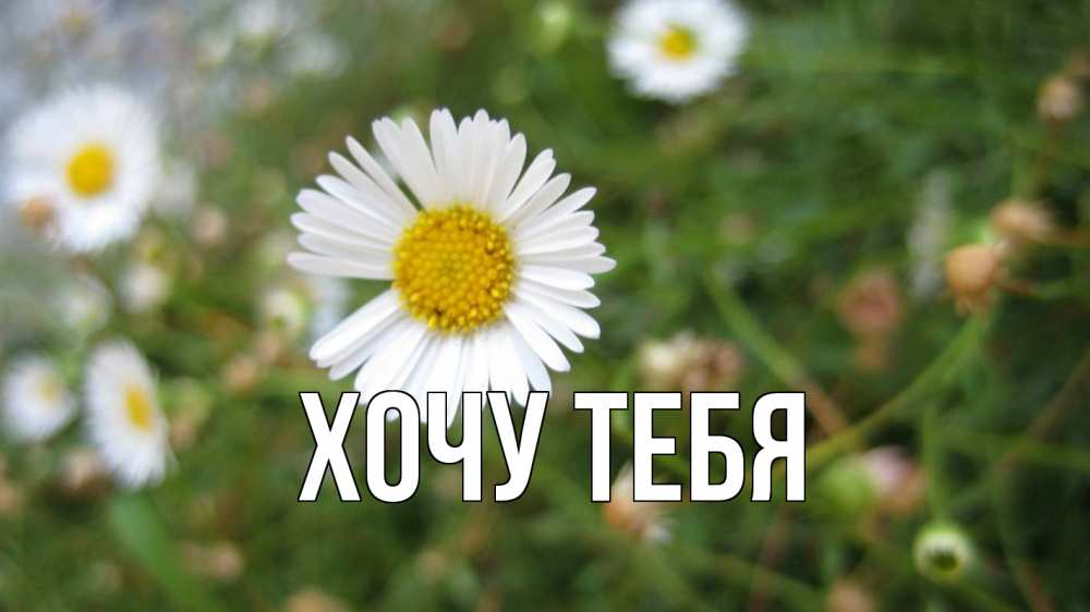 Открытка на каждый день с именем, Хочу-тебя Главная с днем семьи Прикольная открытка с пожеланием онлайн скачать бесплатно 