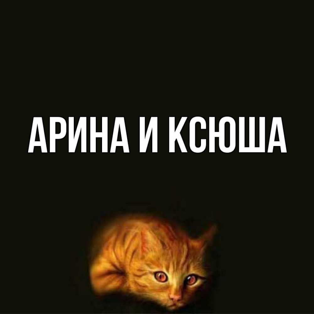 Открытка на каждый день с именем, Арина-и-Ксюша Главная лежащий кот в темноте Прикольная открытка с пожеланием онлайн скачать бесплатно 