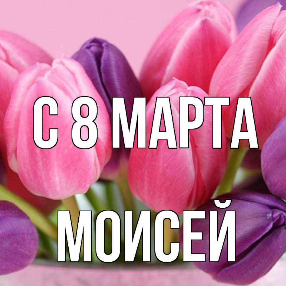 Картинка С 8 марта, Моисей