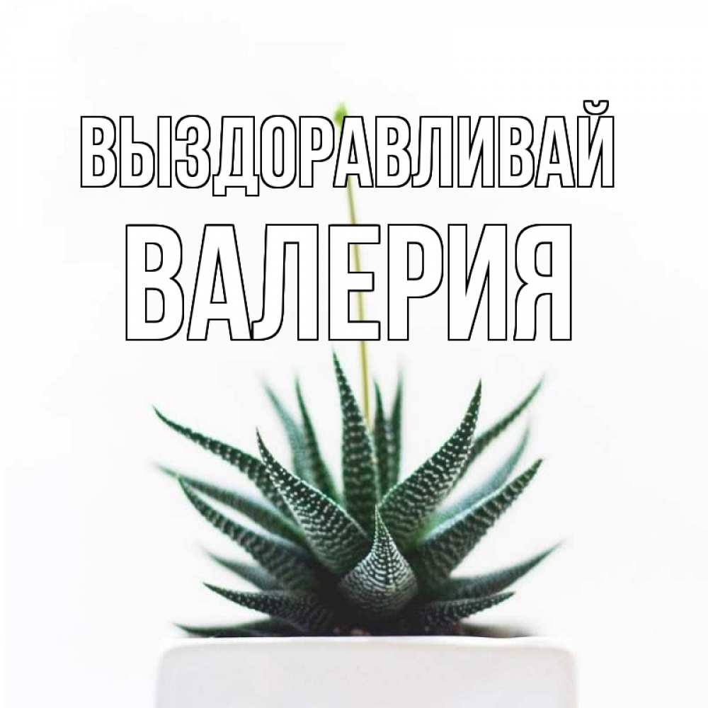Открытка на каждый день с именем, Валерия Выздоравливай короче это непонятная колючка Прикольная открытка с пожеланием онлайн скачать бесплатно 