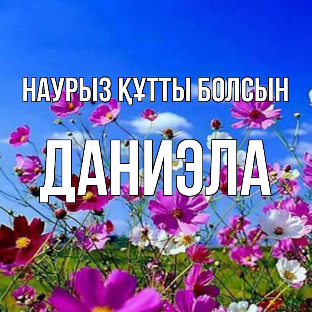 Открытка на каждый день с именем, Даниэла Наурыз құтты болсын цветы Прикольная открытка с пожеланием онлайн скачать бесплатно 