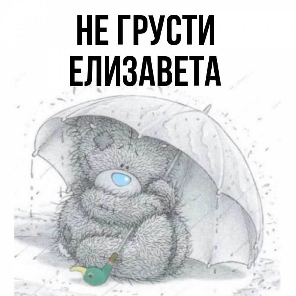 Открытка на каждый день с именем, Елизавета Не грусти спасите мишку Тедди Прикольная открытка с пожеланием онлайн скачать бесплатно 