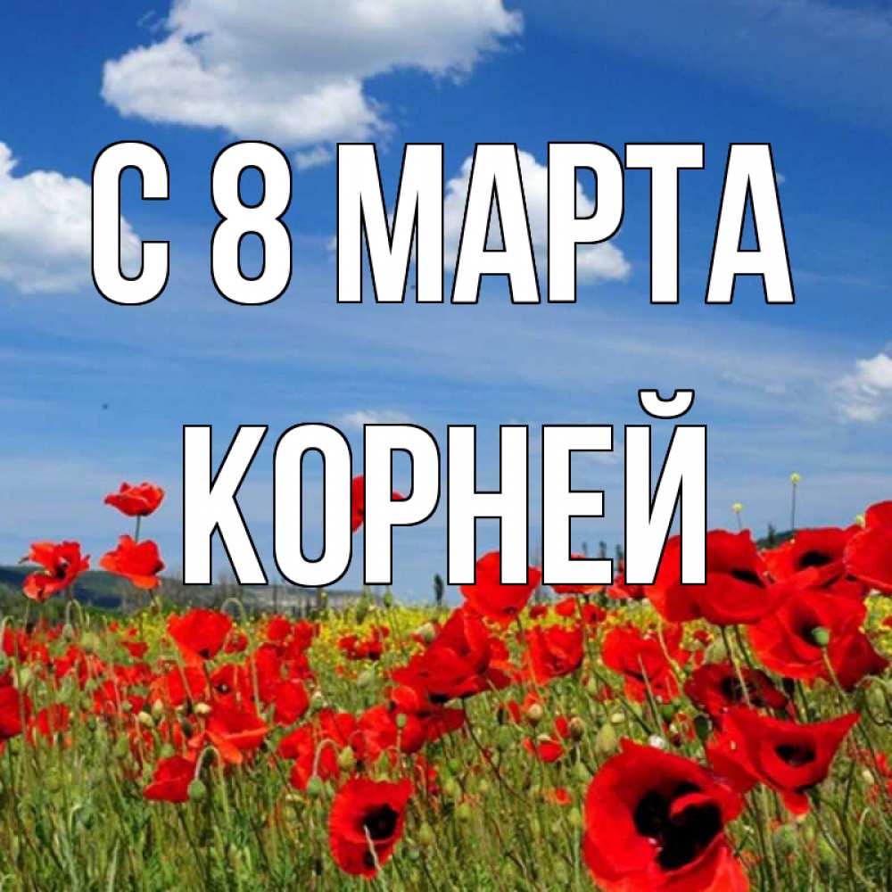 Открытка на каждый день с именем, Корней С 8 МАРТА международный женский день 1 Прикольная открытка с пожеланием онлайн скачать бесплатно 