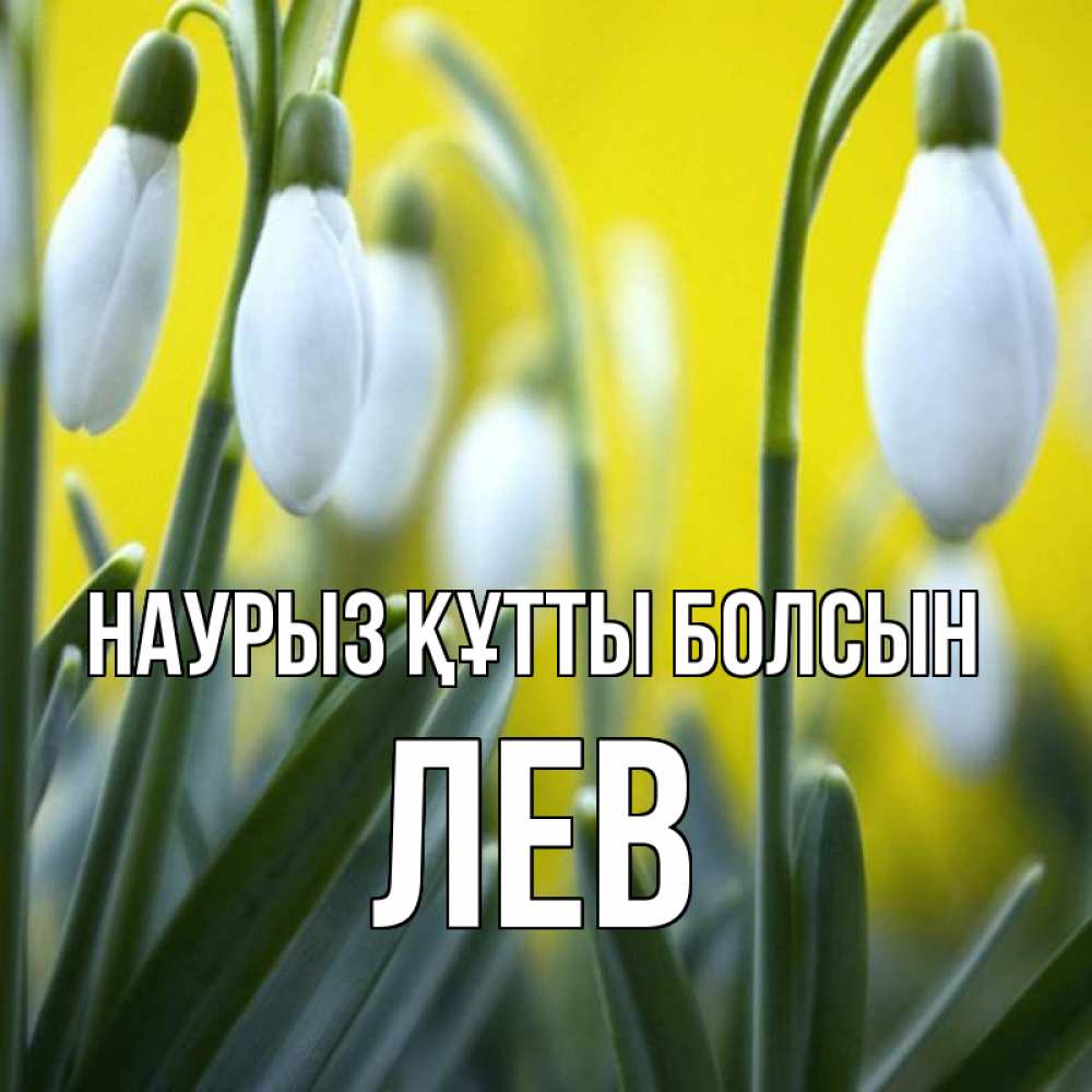 Открытка на каждый день с именем, Лев Наурыз құтты болсын весенние цветы Прикольная открытка с пожеланием онлайн скачать бесплатно 