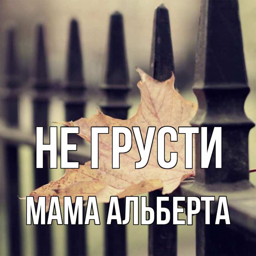 Открытка на каждый день с именем, Мама-Альберта Не грусти лист клена Прикольная открытка с пожеланием онлайн скачать бесплатно 