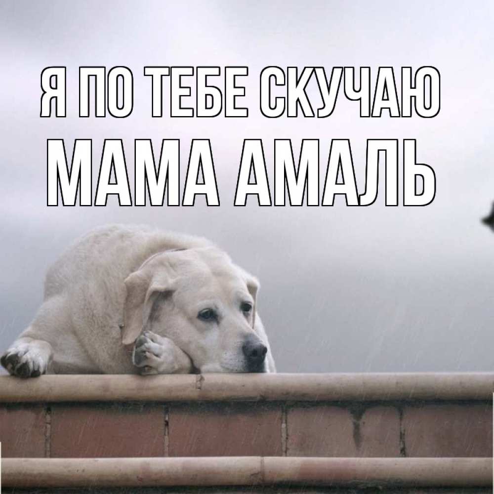 Открытка на каждый день с именем, Мама-Амаль Я по тебе скучаю ждет Прикольная открытка с пожеланием онлайн скачать бесплатно 