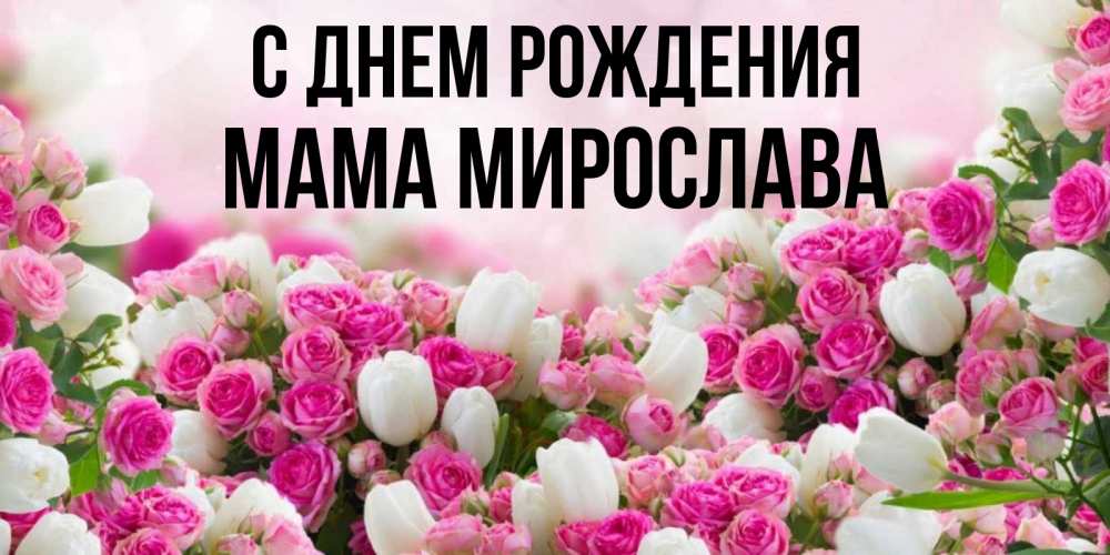Открытка на каждый день с именем, Мама-Мирослава С днем рождения открытка с разными розами Прикольная открытка с пожеланием онлайн скачать бесплатно 