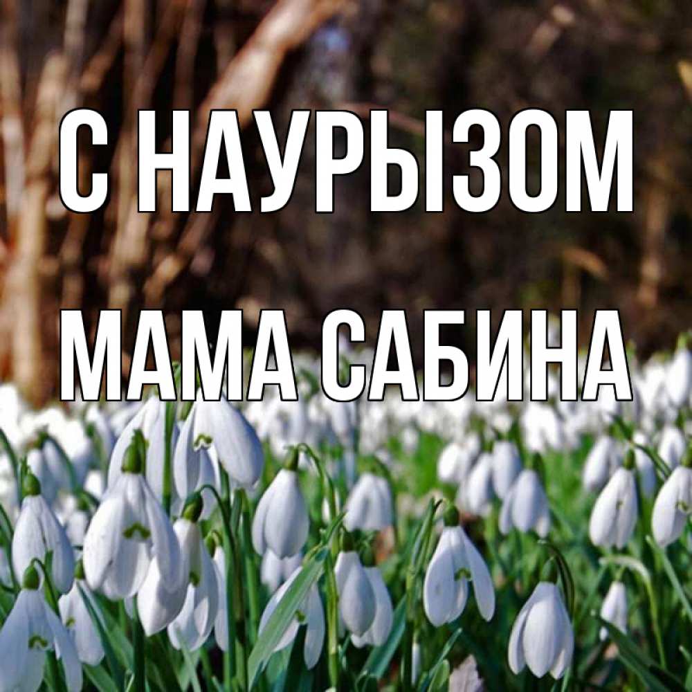 Открытка на каждый день с именем, Мама-Сабина С наурызом с подснежниками 1 Прикольная открытка с пожеланием онлайн скачать бесплатно 