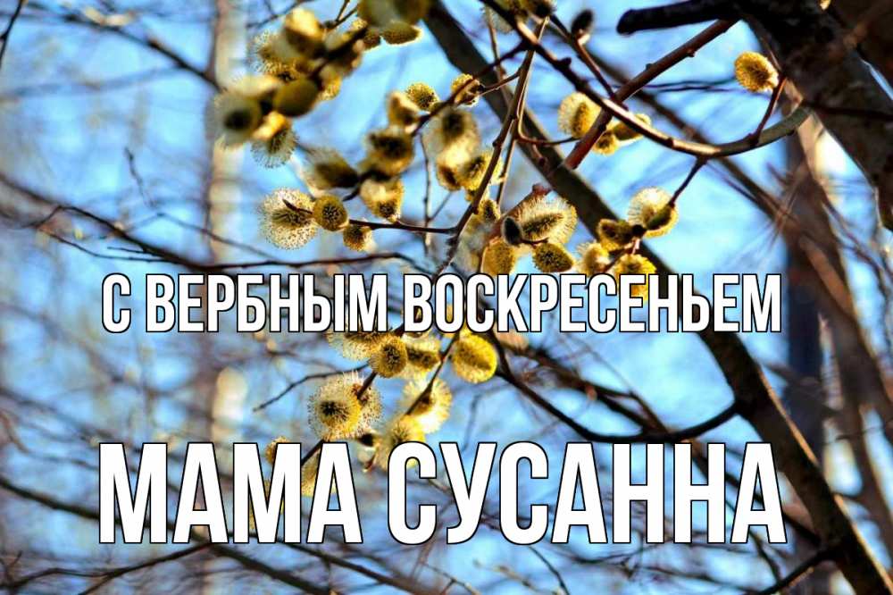 Открытка на каждый день с именем, Мама-Сусанна С вербным воскресеньем верба Прикольная открытка с пожеланием онлайн скачать бесплатно 