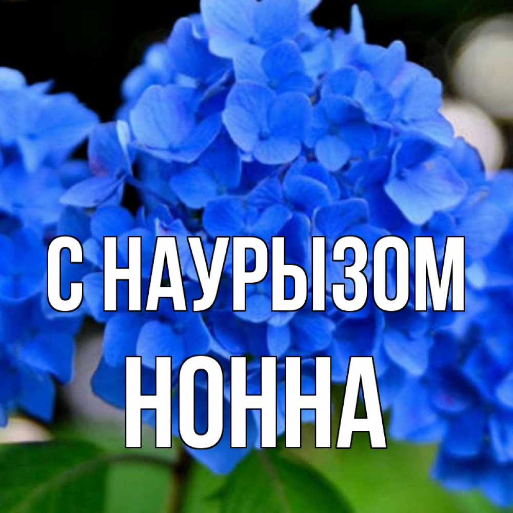 Открытка на каждый день с именем, Нонна С наурызом синие цветы Прикольная открытка с пожеланием онлайн скачать бесплатно 