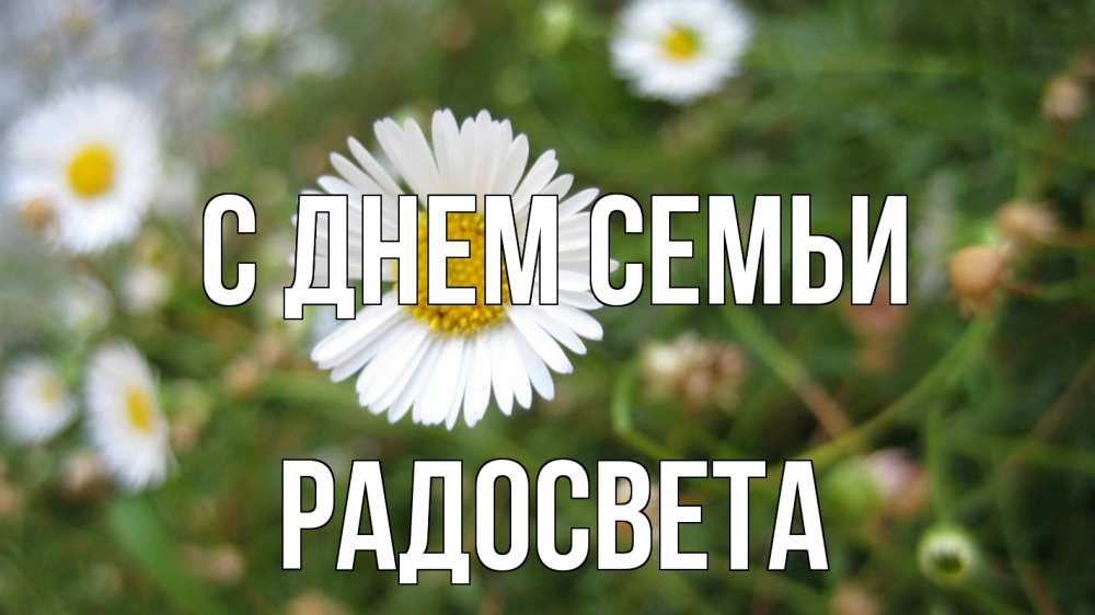 Открытка на каждый день с именем, Радосвета С днем семьи с днем семьи Прикольная открытка с пожеланием онлайн скачать бесплатно 